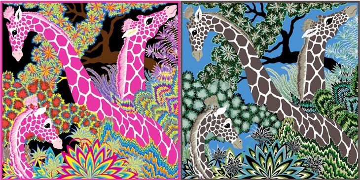 Custom Double Sided Different Color Animal Design Silk Scarf
